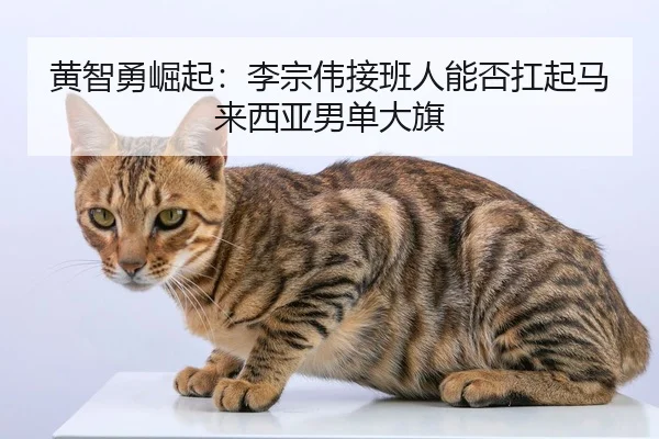 huang-zhi-yong-jue-qi-li-zong-wei-jie-ban-ren-neng-fou-kang-qi-ma-lai-xi-ya-nan-dan-da-qi-2-946.jpg